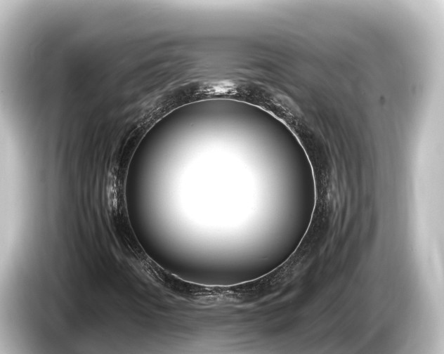 X0000085311442200703161443