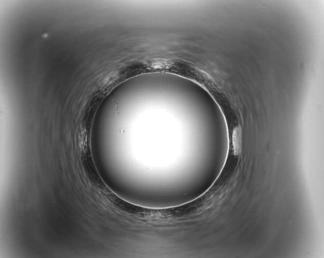 X0000085311443200703161443