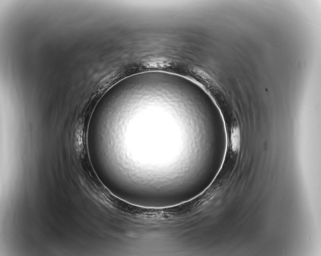 X0000085311444200703161443