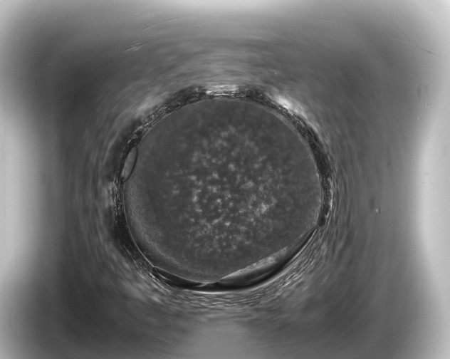 X0000085311445200703161443