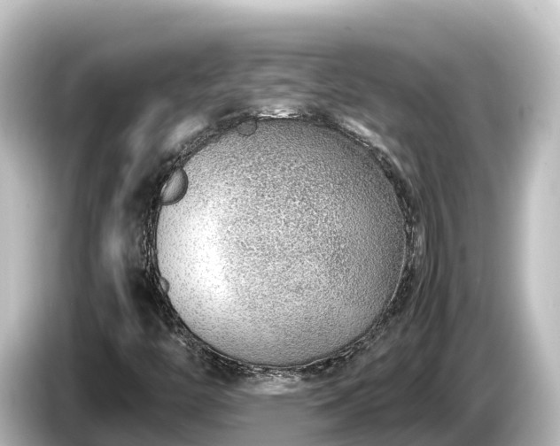 X0000085311446200703161443