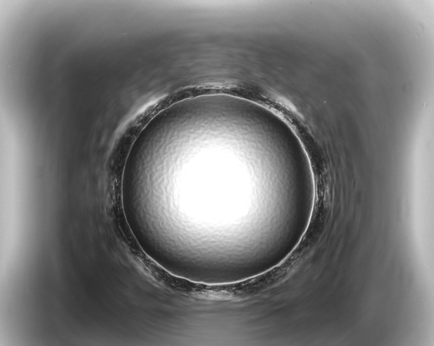 X0000085311448200703161443