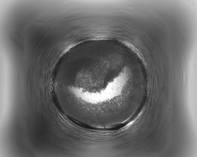 X0000085311449200703161443