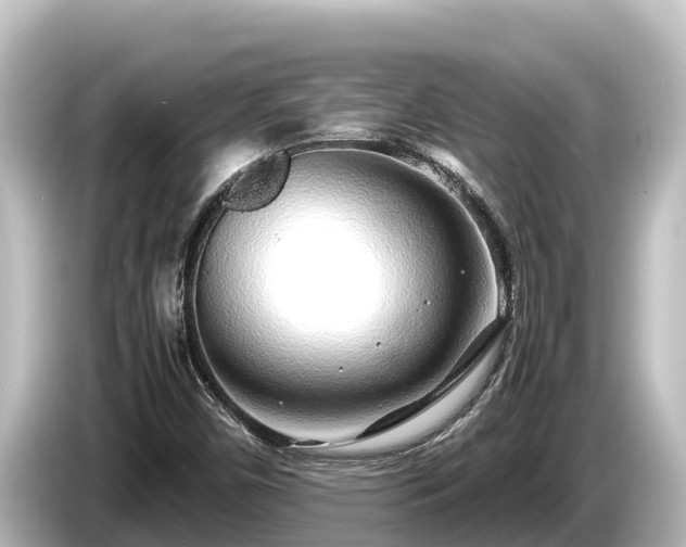 X0000085311450200703161443