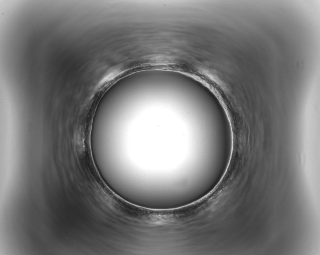 X0000085311451200703161443