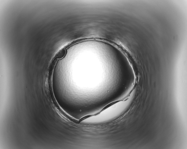 X0000085311452200703161443