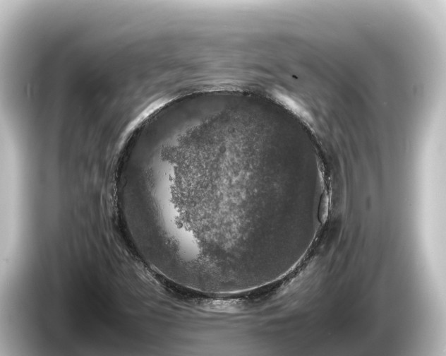 X0000085311453200703161443