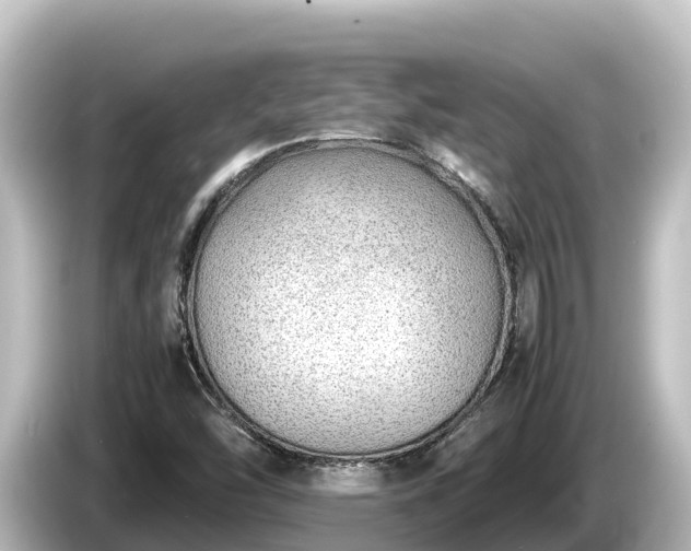 X0000085311454200703161443