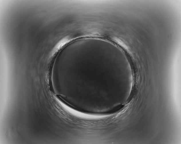 X0000085311455200703161443