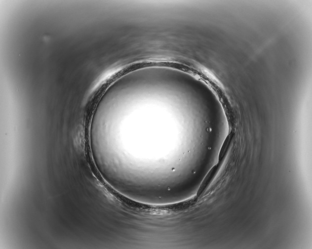 X0000085311456200703161443