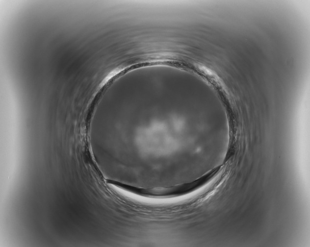 X0000085311457200703161443