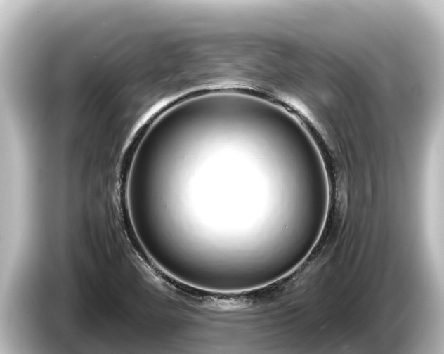 X0000085311460200703161443