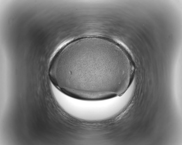 X0000085311461200703161443