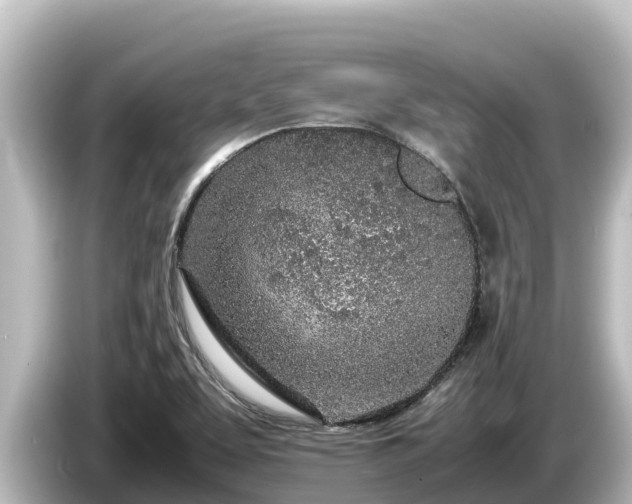 X0000085311463200703161443