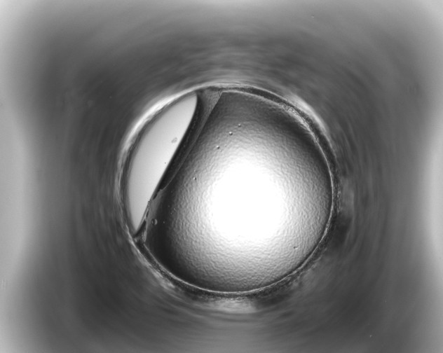X0000085311464200703161443