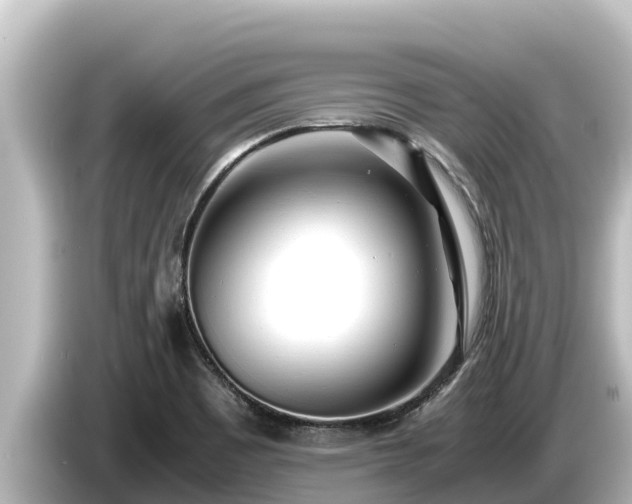 X0000085311465200703161443