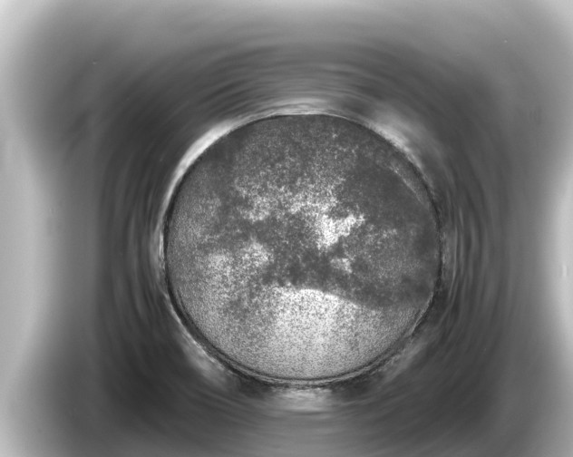 X0000085311466200703161443