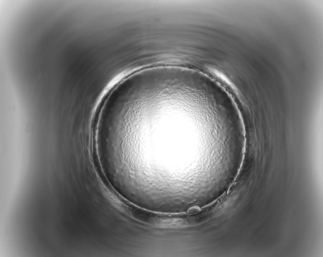 X0000085311467200703161443