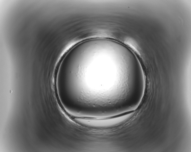 X0000085311468200703161443