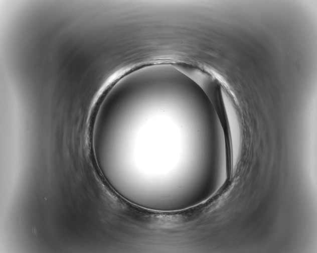 X0000085311469200703161443
