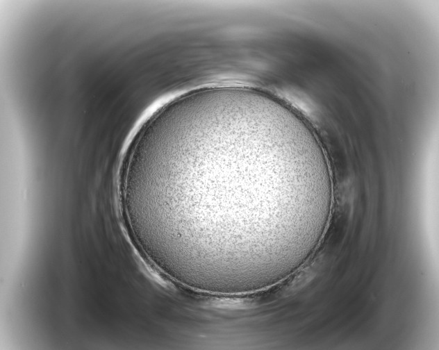 X0000085311470200703161443