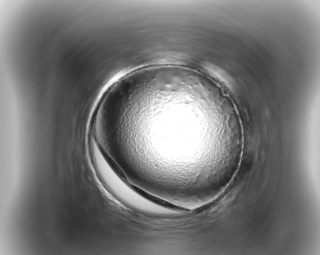 X0000085311471200703161443