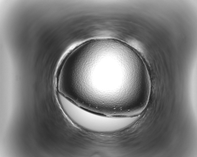 X0000085311472200703161443
