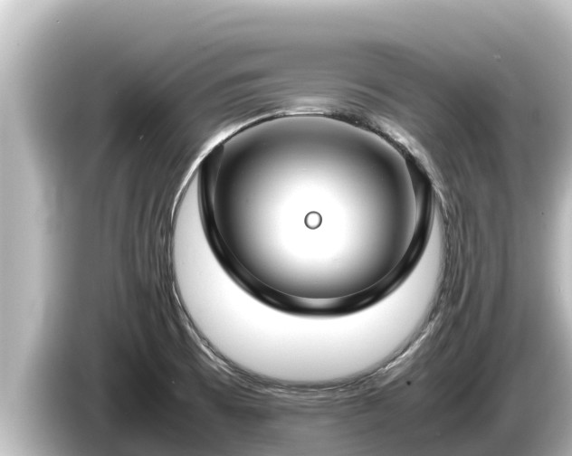 X0000085311473200703161443