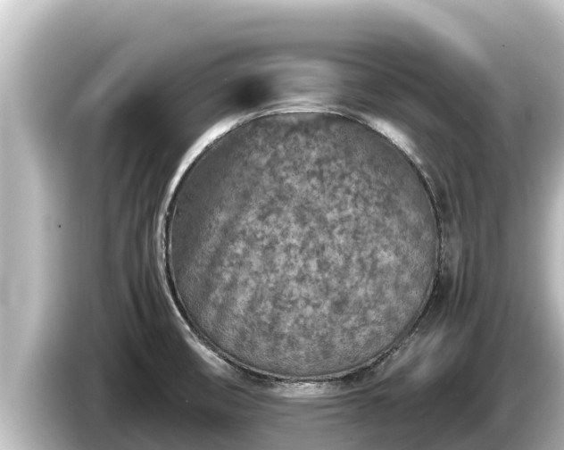 X0000085311474200703161443