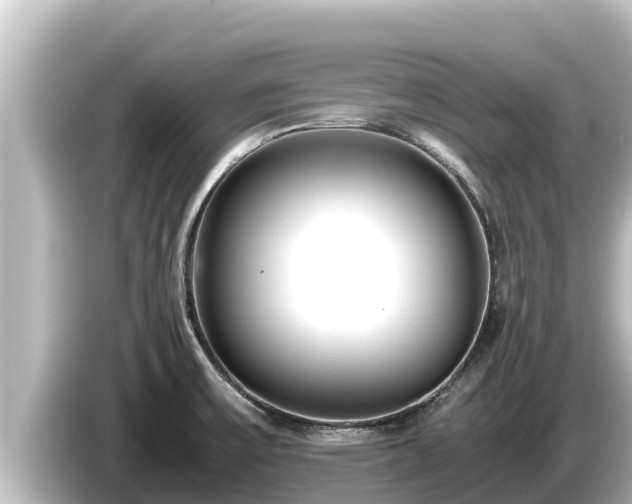 X0000085311475200703161443