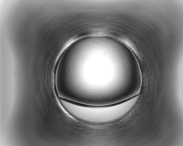 X0000085311476200703161443