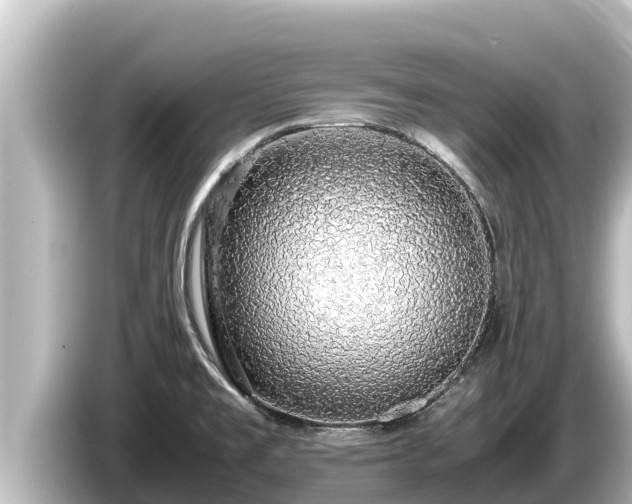 X0000085311477200703161443
