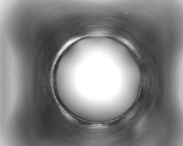 X0000085311478200703161443