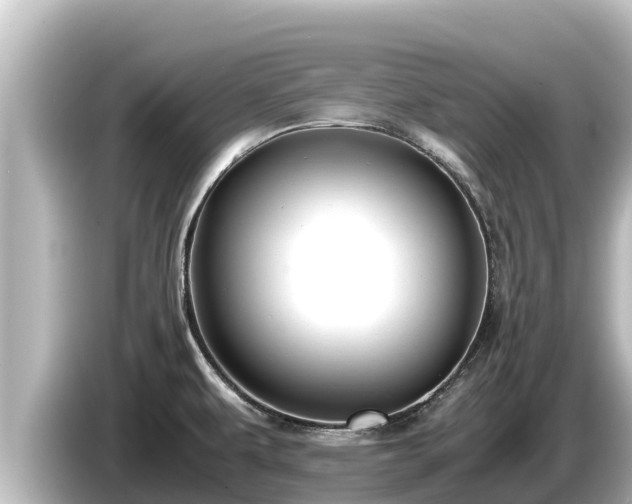 X0000085311479200703161443