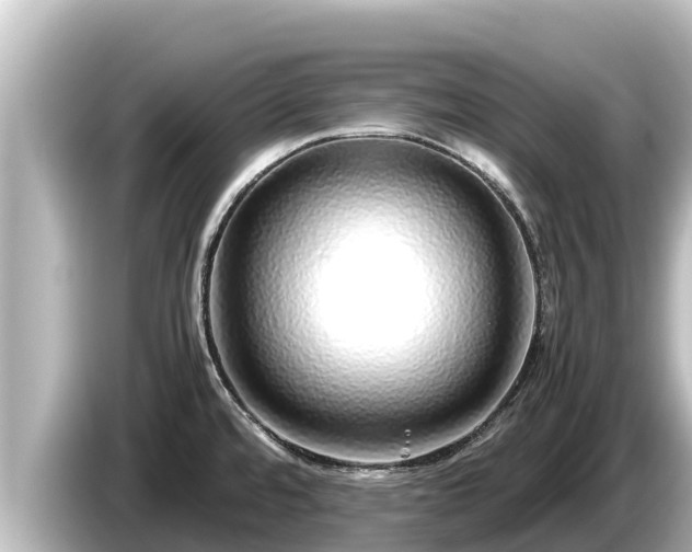 X0000085311480200703161443