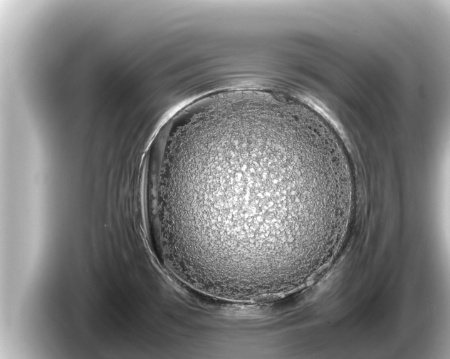 X0000085311481200703161443