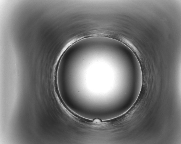 X0000085311483200703161443