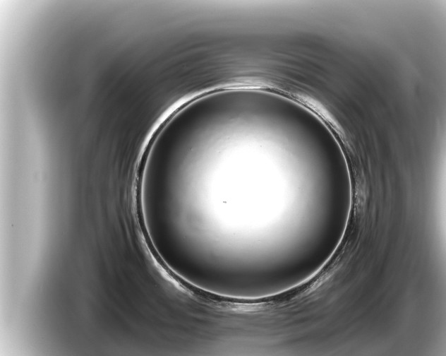 X0000085311484200703161443