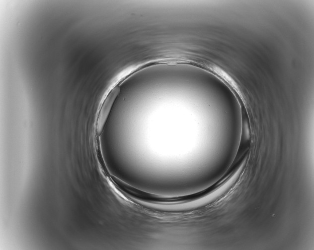 X0000085311485200703161443