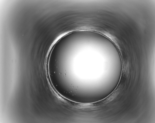 X0000085311486200703161443