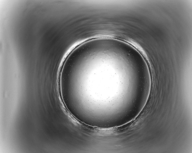 X0000085311488200703161443