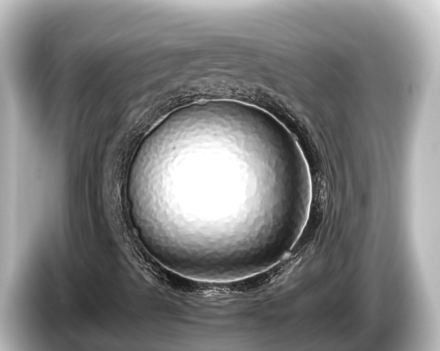 X0000085311489200703161442