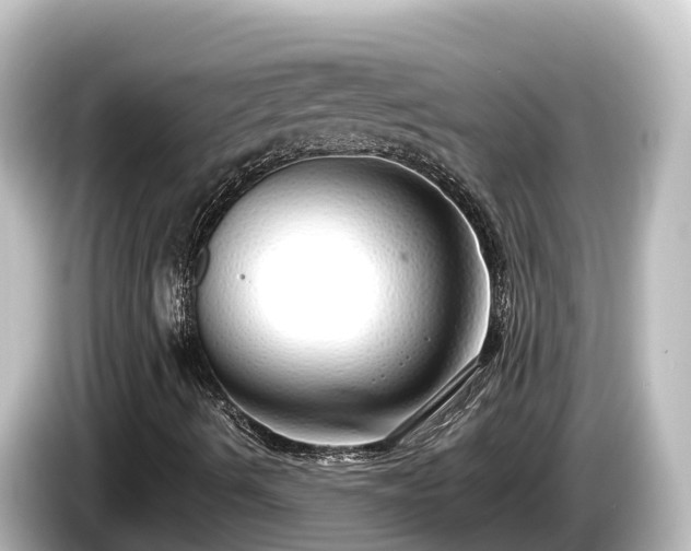X0000085311490200703161442
