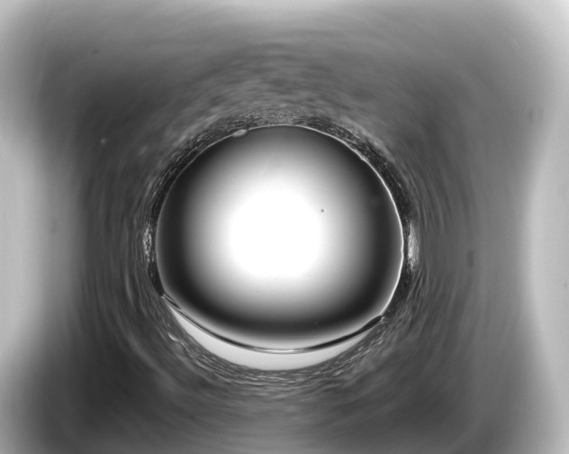 X0000085311492200703161442