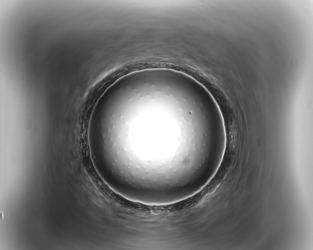 X0000085311494200703161442