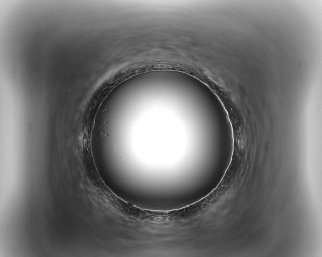 X0000085311495200703161442