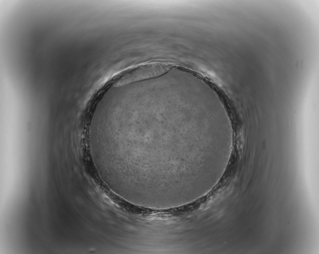 X0000085311496200703161442