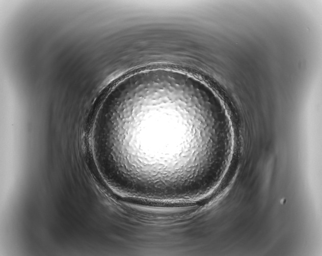 X0000085311497200703161442