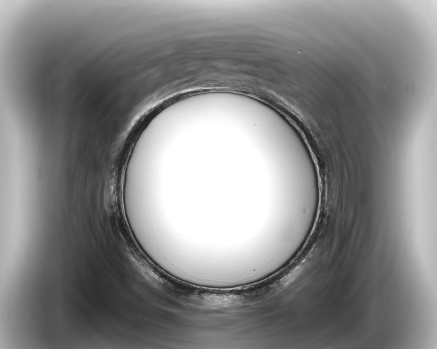 X0000085311498200703161442