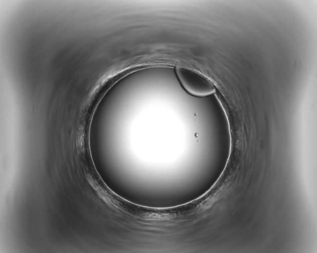 X0000085311499200703161442